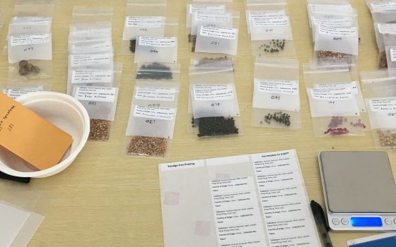 Packets of labeled seeds cover a table, along with additional cups, envelopes, labels, and markers.